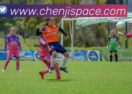 星空·综合(中国体育)官方网站APP 封面图